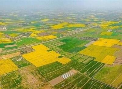 تجمیع ۱۵.۷ هزار هکتار از اراضی کشاورزی کشور - اکونیوز