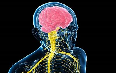 دیستونی چیست و در اعضای مختلف بدن چه علل و علائمی دارد؟