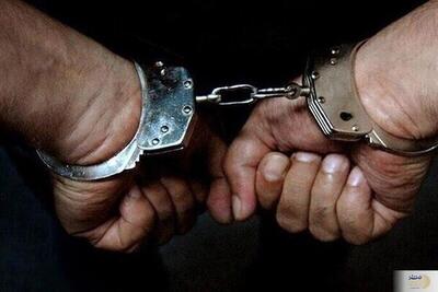 انهدام شبکه شرط‌بندی مبارزات زیرزمینی در دماوند؛ دستگیری ۱۰ تبعه بیگانه
