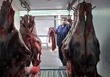 هشدار نسبت به کمبود گوشت در کشور؛ گوشت قرمز گران می‌شود؟