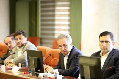هشدار مدیرعامل پشتیبانی امور دام: ممنوعیت ثبت سفارش جو، بحران‌ساز است