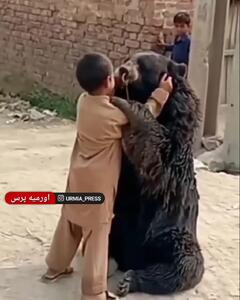 تصاویری ببینید از رفاقت عجیب کودک اهل زاهدان با خرس سیاه بلوچی