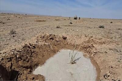 کاشت ۱۲ هزار و ۶۰۰ نهال بیابانی در دشت سربیشه