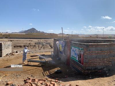 صیانت از بهداشت عمومی با سم‌پاشی ۱۴۴ هزار دام در سیستان و بلوچستان