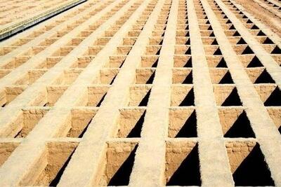 هشدار درباره بحران دفن اموات در بهشت زهرا
