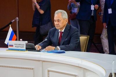 شویگو: توهم جنگ جهانی، دوباره در سر خواص غربی است