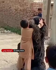 رفتار و رفاقت عجیب کودک اهل زاهدان با خرس سیاه بلوچی