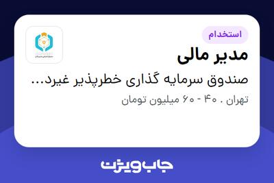 استخدام مدیر مالی در صندوق سرمایه گذاری خطرپذیر غیردولتی شرکتی بسپار شیمی سپیدان
