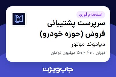 استخدام سرپرست پشتیبانی فروش (حوزه خودرو) در دیاموند موتور