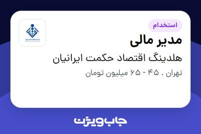 استخدام مدیر مالی در هلدینگ اقتصاد حکمت ایرانیان