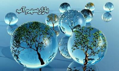 بازار سهم آب، باعث افزایش بهره‌وری آب می‌شود