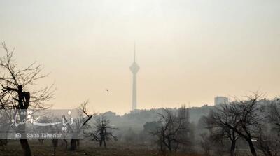 این گروه از پایتخت نشینان امروز در خانه بمانند - مردم سالاری آنلاین