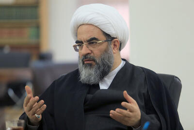 آیت الله فاضل لنکرانی: امام رضا (ع) معیار شیعه اثنی عشری است