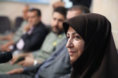 تدوین بسته سبز سرمایه گذاری ؛ یوزها محافظت می شوند