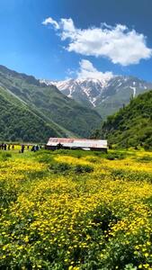 فیلم طبیعت چشم‌نواز دشت دریاسر