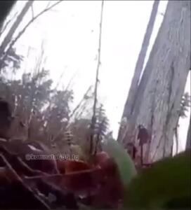 فیلم لحظه حمله گوزن خشمگین به مرد مسلح