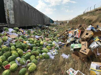 مافیای «سم» کشاورزی ایران را بی‌آبرو کرد/ مرجوع شدن پی‌در‌پی کالاها از کشورهای مختلف