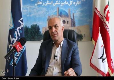 416 تن فرآورده خام دامی در استان زنجان معدوم شد - تسنیم