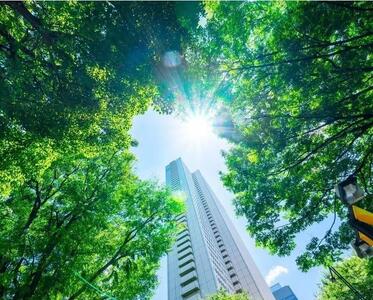 کاهش 65 درصدی گرمای شهری با کاشت درختان بیشتر - تسنیم