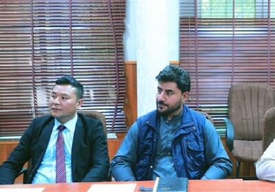 شرکت چینی و طرح تولید خودرو در افغانستان - تسنیم