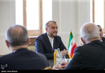برگزاری بزرگداشت شهید امیرعبداللهیان در زادگاهش - تسنیم