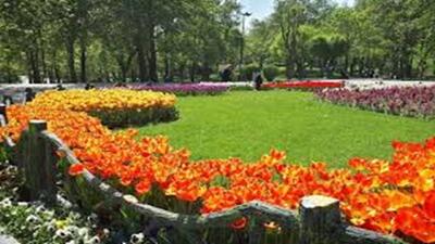 کارشناسان سلامت و ایمنی در بوستان‌ها همه روزه حضور دارند + فیلم
