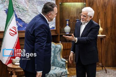 عکس/ دیدار وزیر انرژی تاجیکستان با معاون اول رئیس جمهور