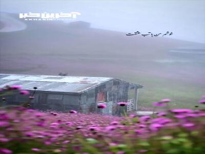 خوشم من با تب عشقت، طبیب آمد جوابش کن