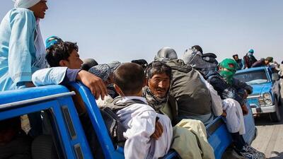 شورش عجیب هاشمی‌طبا علیه مهاجرین افغانستانی حاضر در ایران/ با وجود افغانی‌ها آمریکا نیاز نیست به ما حمله کند!