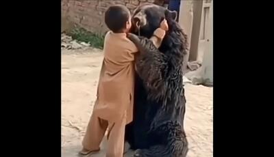 رفاقت دیدنی کودک زاهدانی و خرس سیاه بلوچی (فیلم)