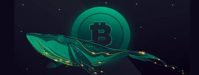 نهنگ‌ها در حال خرید، صعود بیت کوین در راه است؟