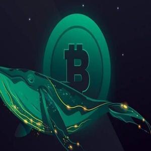 نهنگ‌ها در حال خرید؛ آیا صعود بیت کوین نزدیک است؟
