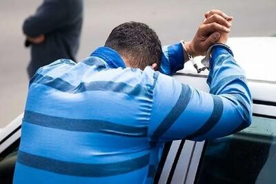 معاون دادگستری تهران: شاهد کاهش ۱۱ درصدی سرقت در ۱۴۰۳ نسبت به مدت مشابه در ۱۴۰۲ بودیم