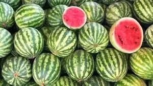 ادعای روسیه درباره هندوانه ایرانی تکذیب شد