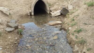 آبیاری درختان بلوار شهرزاد با قنات چالهرز