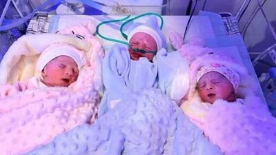 ثبت ۳۸ هزار واقعه ولادت چند قلوزایی در سال ۱۴۰۳