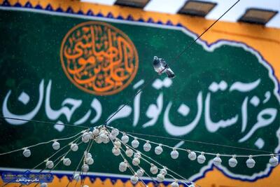 عکس | بارش باران بهاری در بهشت رضوی