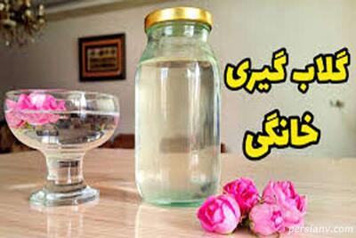 گلاب گیری در خانه ؛ راز و رمز گلاب‌گیری حرفه ای در خانه
