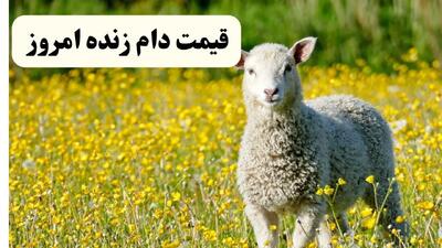 جدول قیمت دام زنده امروز ۱۷ اردیبهشت ۱۴۰۴ | قیمت گوسفند زنده چند؟