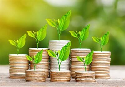 ابلاغ دستورالعمل تأسیس و فعالیت کارگزاری‌های جذب سرمایه - تسنیم