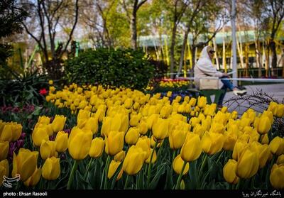 توصیه‌های فوق‌تخصص بیماری‌های ریه در فصل بهار - تسنیم
