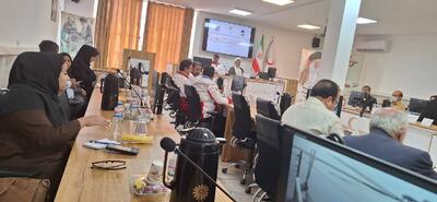 فعالیت ۲۶۴ خانه هلال در کرمان برای آموزش همگانی 