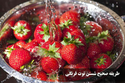 طریقه صحیح شستن توت فرنگی برای از بین کرم آن با سرکه، نمک و جوش شیرین