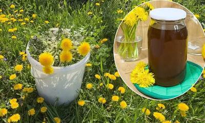 طرز تهیه شربت گل برای درد مفاصل و مشکلات گوارشی