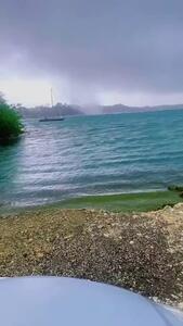 بارش ماهی از آسمان را ببینید! +ویدیو