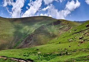 آینده تنوع زیستی در دستان کشاورزان آگاه