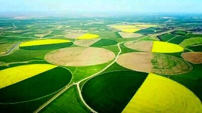 کشت و صنعت مغان ظرفیت های قابل توجهی برای توسعه دارد