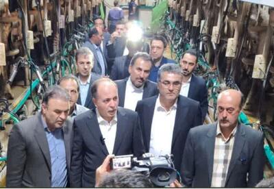 وزیر جهاد کشاورزی از مجتمع کشت و صنعت مغان بازدید کرد
