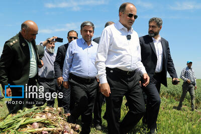 سفر وزیر جهاد کشاورزی به استان اردبیل