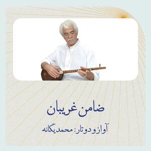 «ضامن غریبان»، مناجاتی عارفانه با شمس الضحی و سلطان خراسان